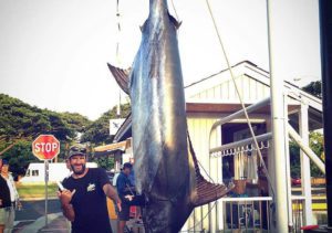 Lb Marlin