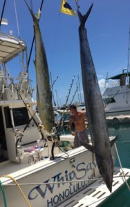 Mahi Mahi Ono