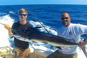 Striped Marlin Wipsaw Sport Fishing