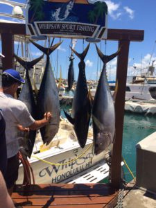 Whipsaw Sport Fishing