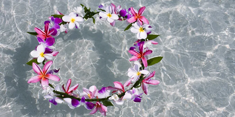 Hawaii Celebration Of Life Memorial Services Boat Tour fishing charters