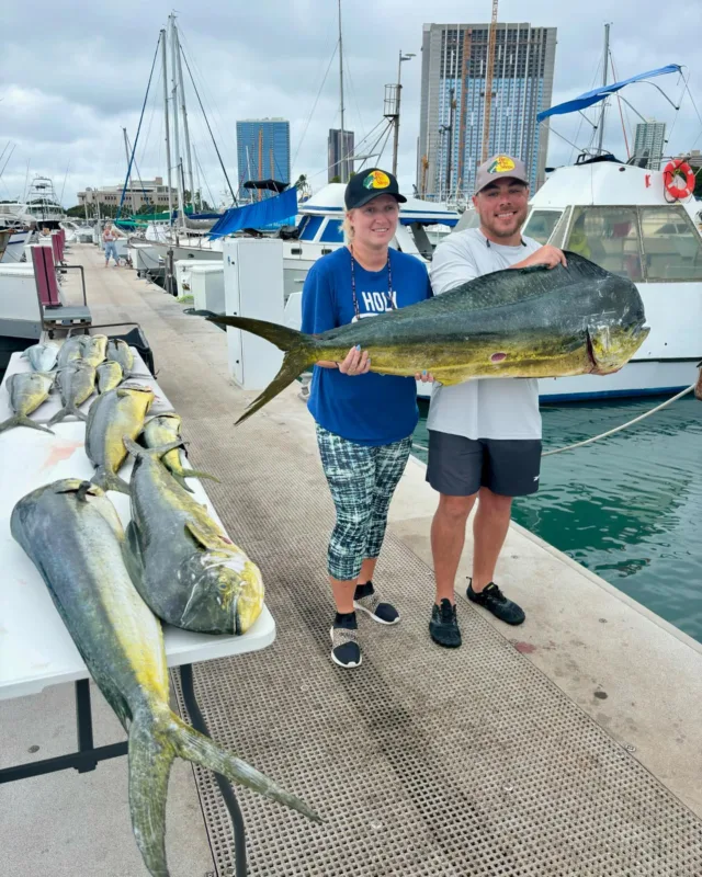Great Mahi Mahi action on Whipsaw!
#fishing #sportfishing #charterfishing #tunafishing #fish #bigfish #ahi #aku #mahi #marlin #tuna #mahi #mahimahi #waikiki #oahu #whipsawsportfishing