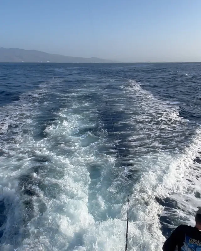 Great action and beautiful conditions on Whipsaw yesterday. Two striped marlin and one blue marlin for our guests! 

#fishing #deepseafishing #sportfishing #whipsawsportfishing #mahi #ono #marlin #ahi #oahu #hawaii #waikiki