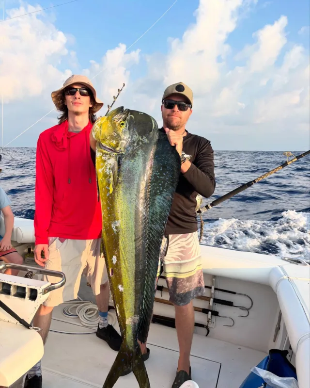 38 lb Bull and some nice aku on Whipsaw yesterday!

#fishing #deepseafishing #sportfishing #whipsawsportfishing #mahi #ono #marlin #ahi #oahu #hawaii #waikiki