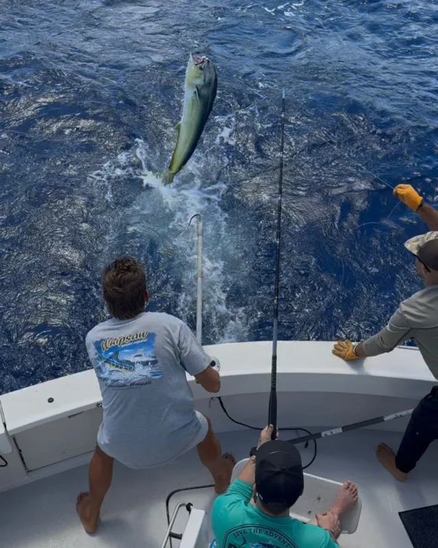 Good action for Matthew and his friends on Play N Hooky yesterday!

#fishing #deepseafishing #sportfishing #whipsawsportfishing #mahi #ono #marlin #ahi #oahu #hawaii #waikiki
